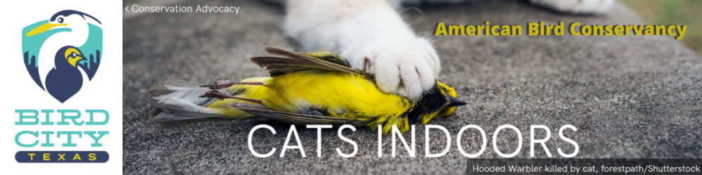Cats indoors banner