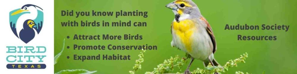 Plants for birds